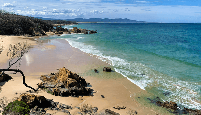 Wildlife in Croajingolong National Park